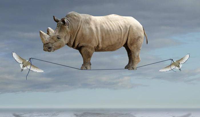 Rinoceronti in volo e giraffe a palazzo: sogniamo o siamo desti?