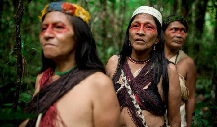 “Querida Amazonia”: la profezia del Papa sul disastro che favorisce anche i virus