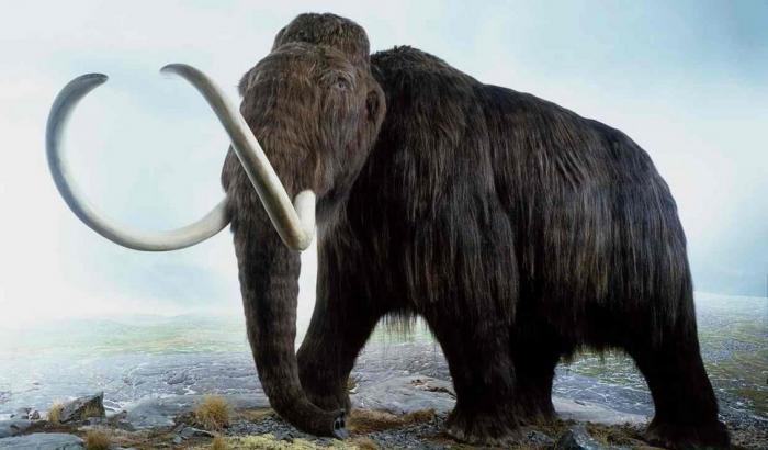 Estinguerci come i mammut o salvare il pianeta? Sandal narra le estinzioni
