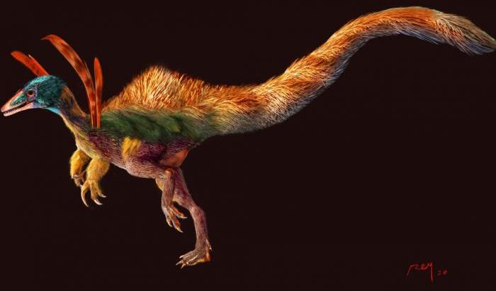 L'Ubirajara, il dinosauro che i paleontologi brasiliani rivogliono e dalla Germania dicono "no"