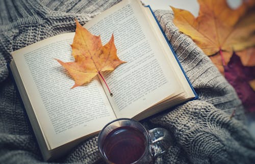 È autunno: libri, zucche e foglie secche