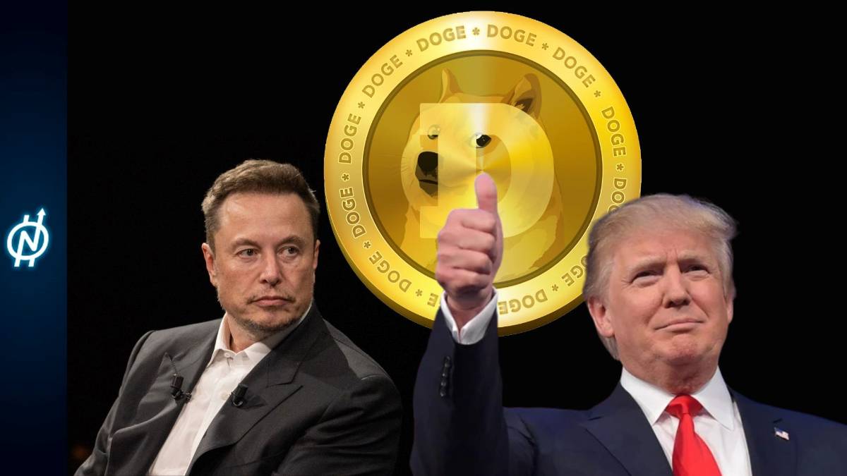 Elon Musk e il Doge: efficienza al gusto di meme