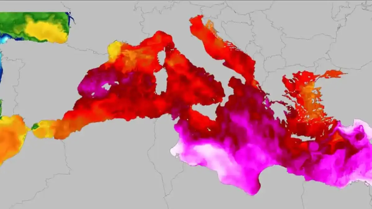 L’Università di Siena alla cop29: in prima linea per soluzioni economiche contro il cambiamento climatico