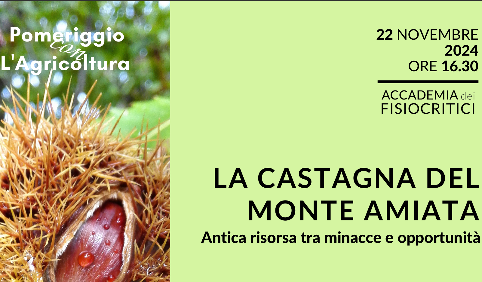 La castagna del monte Amiata: antica risorsa tra minacce e opportunità