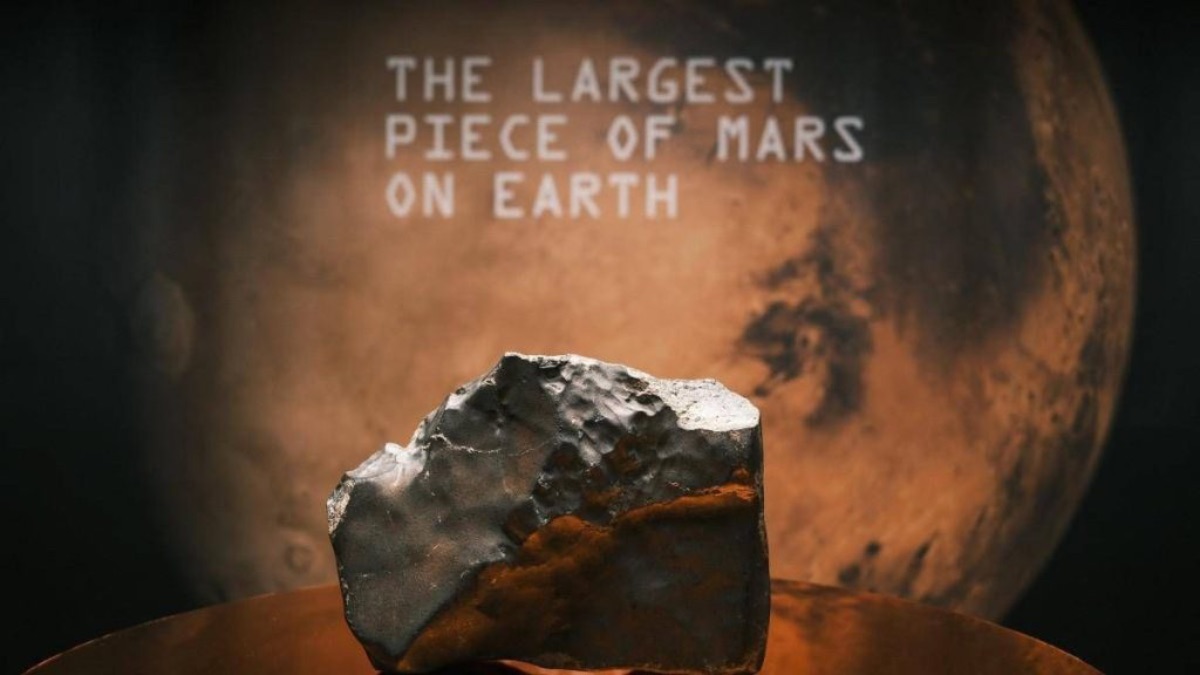 New York: all’asta il più grande meteorite marziano esistente sulla Terra