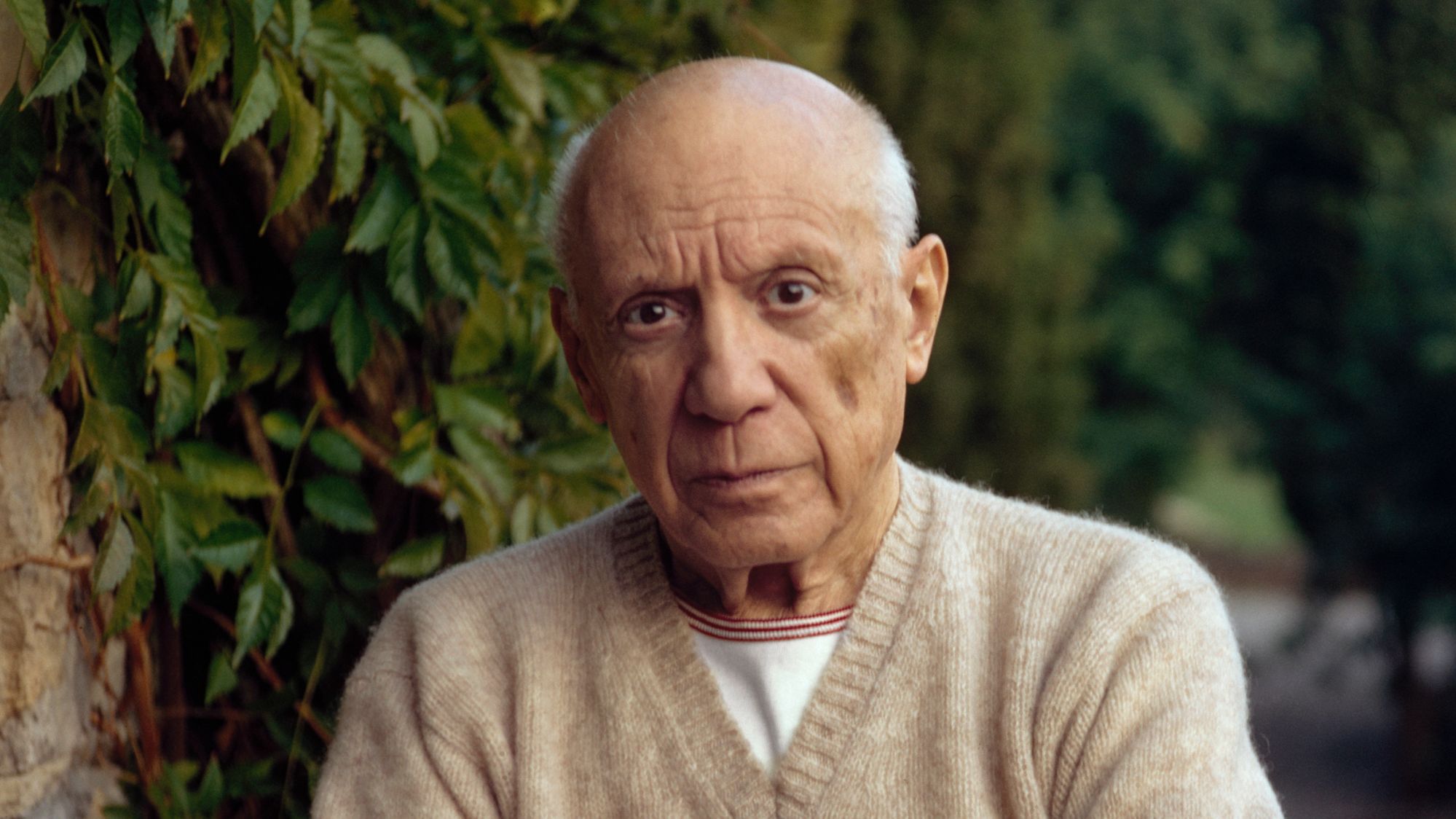 Scomparso un quadro di Picasso durante un trasporto