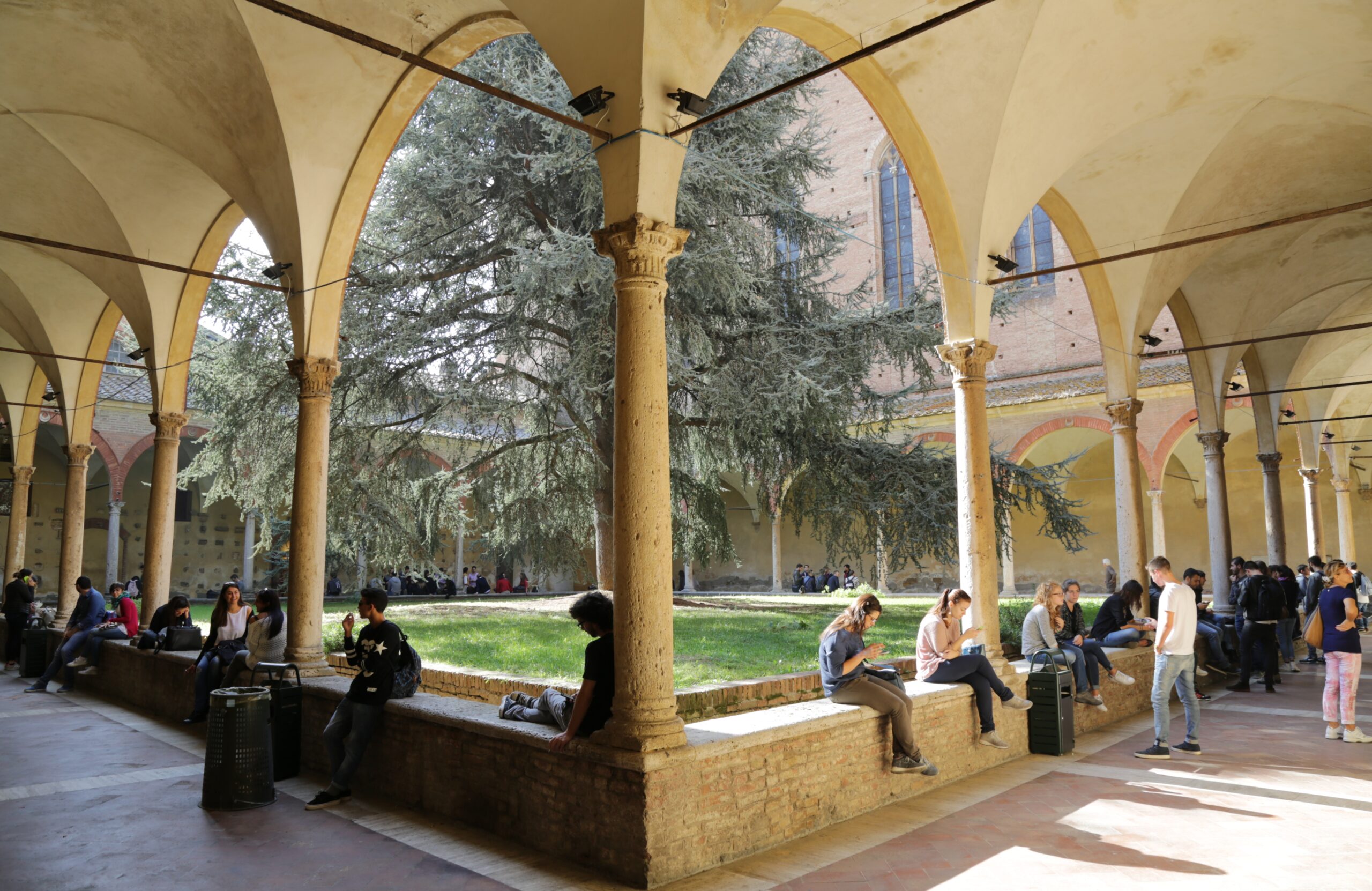 Ranking THE: l’Ateneo senese riconferma l’ottimo posizionamento nazionale e internazionale