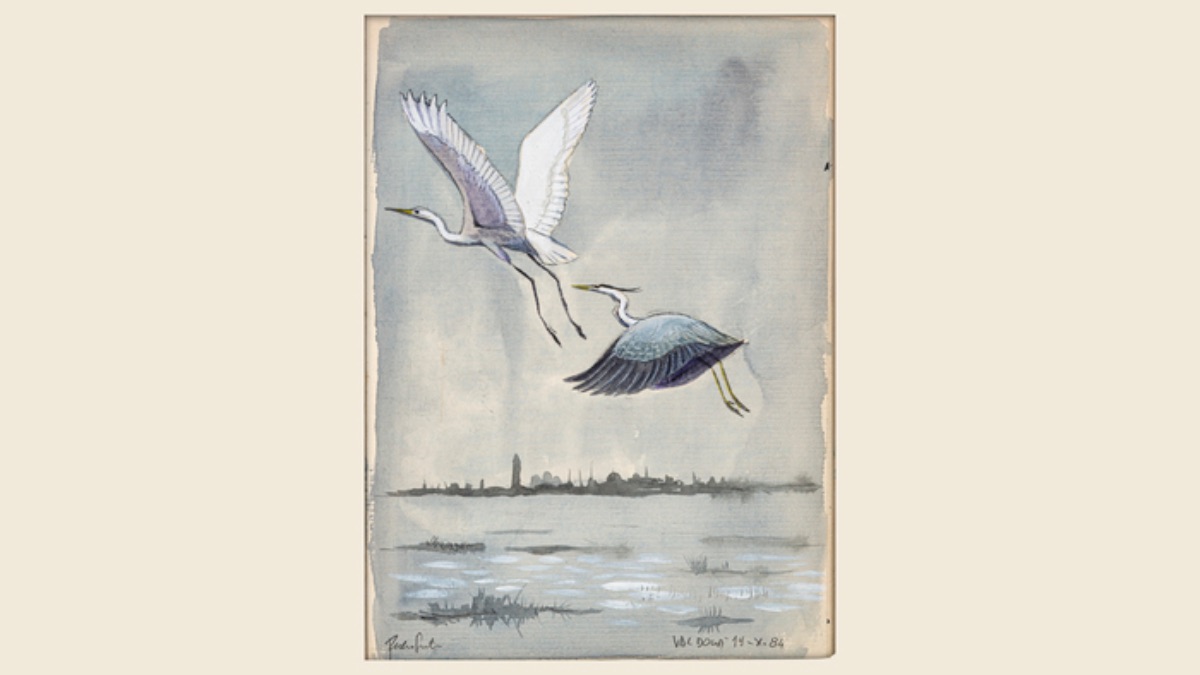 Alla Camera le opere di Fulco Pratesi